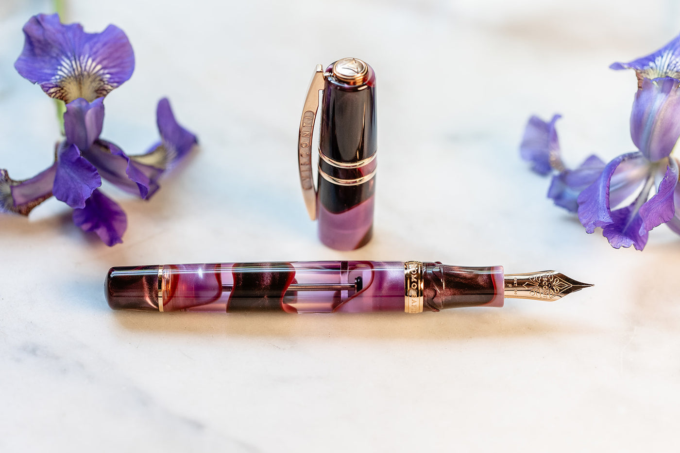 Visconti Homo Sapiens Fountain Pen - Iris Garden (Limited Edition)