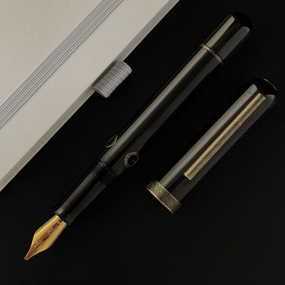 Nahvalur (Narwhal) Nautilus Fountain Pen - Bronze Corydoras