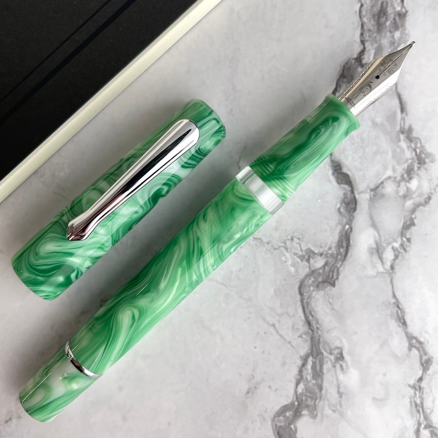 Nahvalur (Narwhal) Schuylkill Fountain Pen - Betta Mint