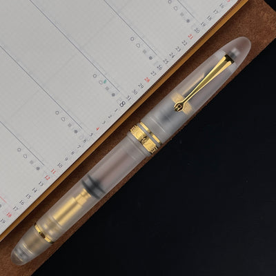 Omas Ogiva Fountain Pen - Demonstrator w/ Gold