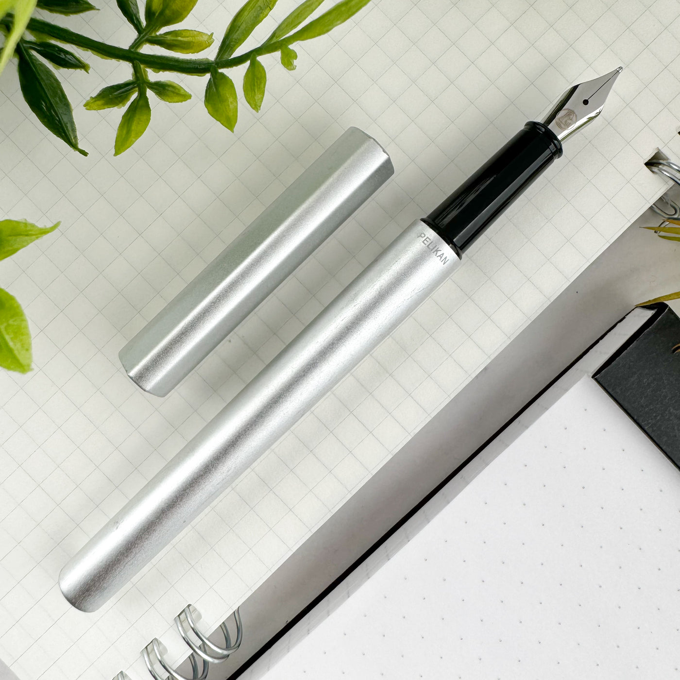 Pelikan Ineo Fountain Pen