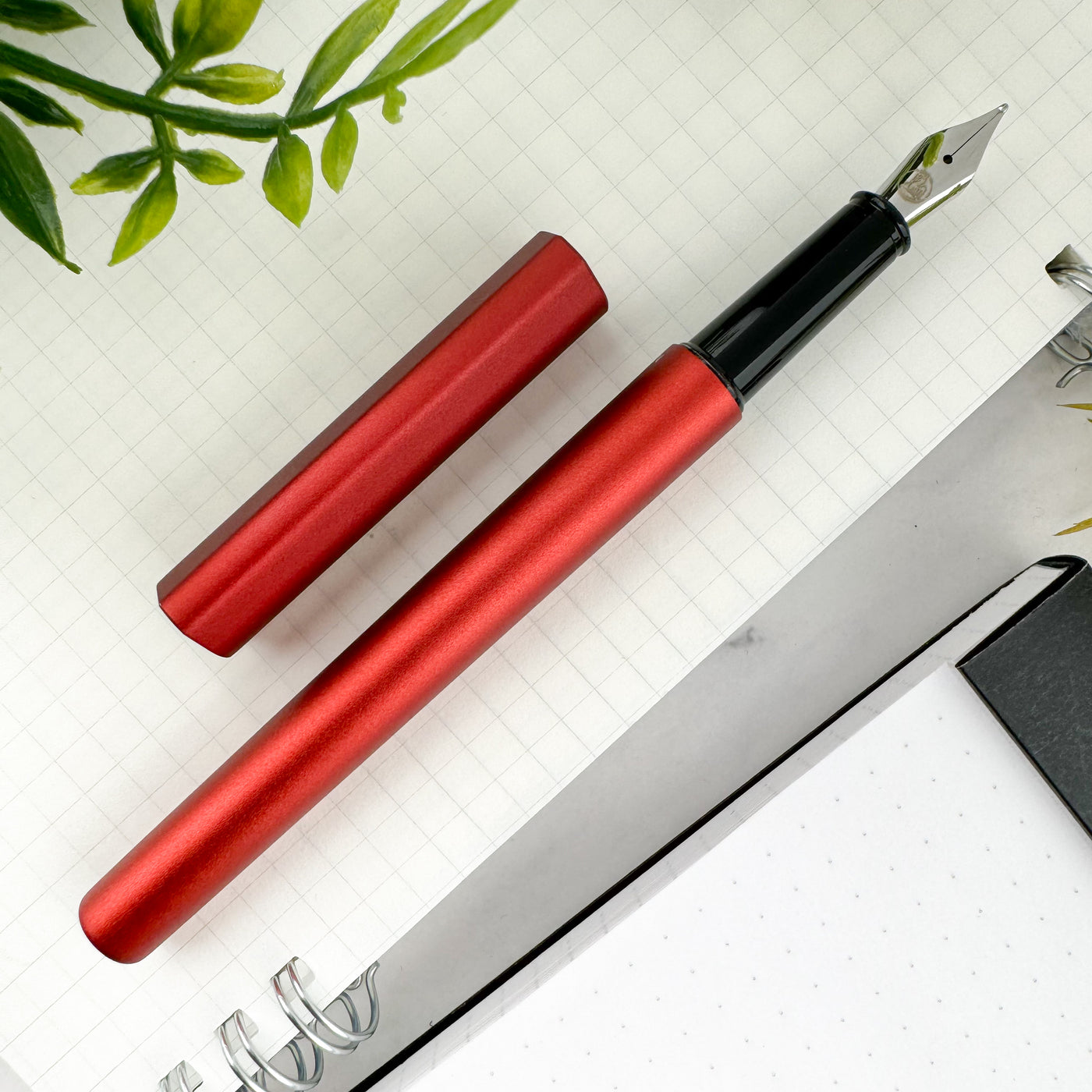 Pelikan Ineo Fountain Pen