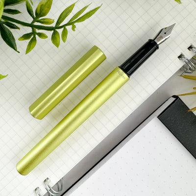 Pelikan Ineo Fountain Pen