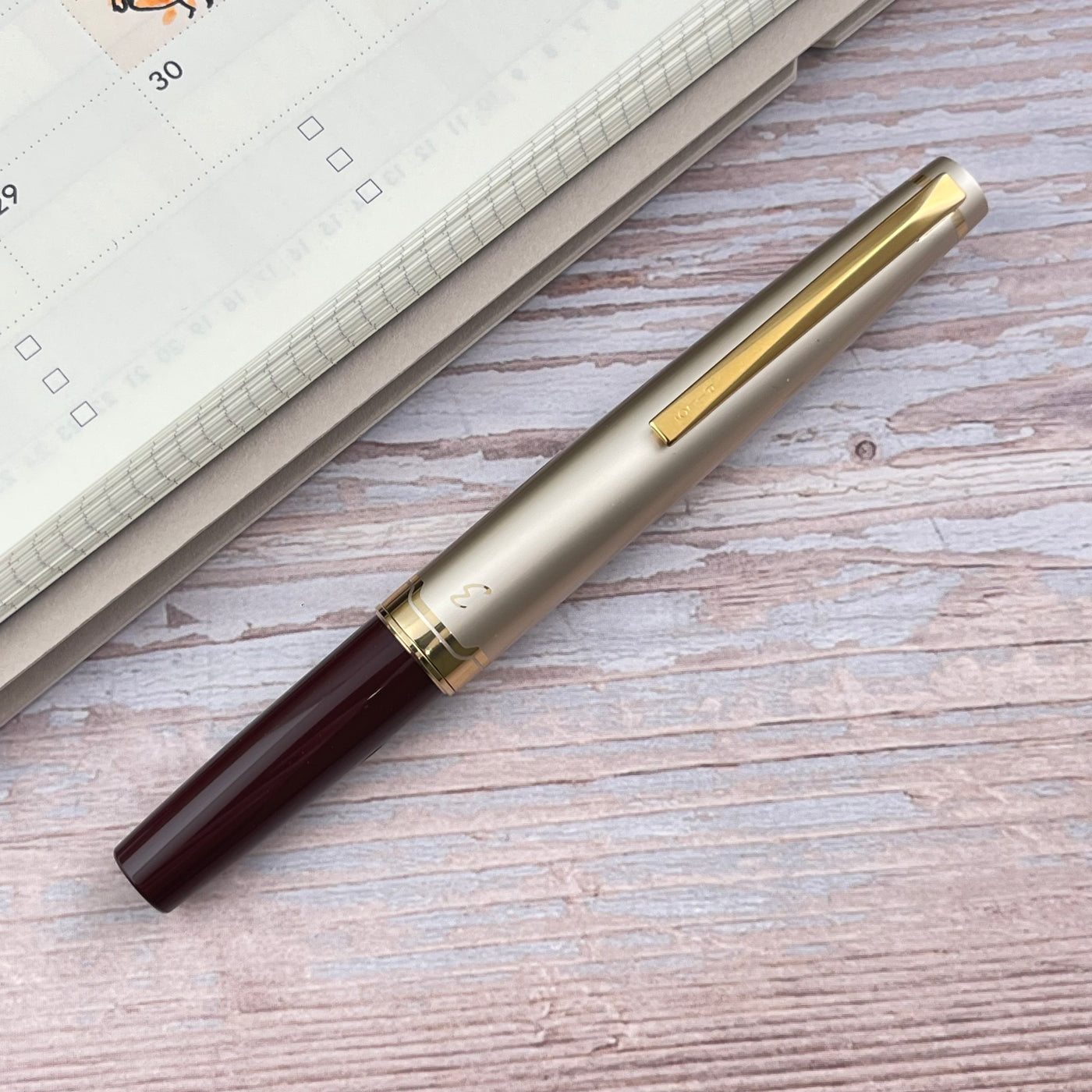 Pilot E95s Fountain Pen - Burgundy