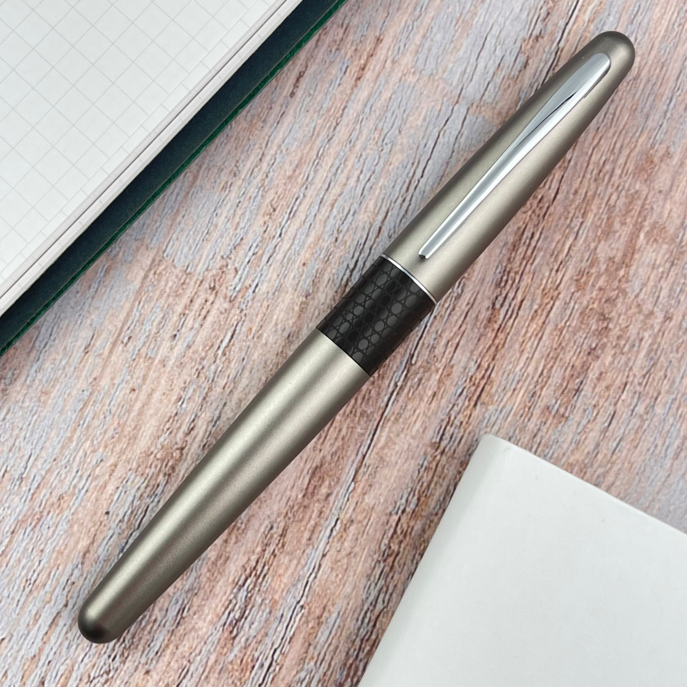 Pilot Metropolitan Fountain Pen - Lizard