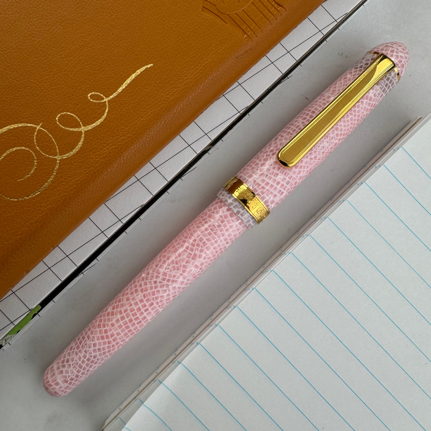 Platinum #3776 Celluloid Fountain Pen - Cherry Blossom