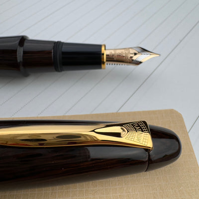 Platinum Izumo Fountain Pen - Glossy Bombay Black Wood (Tagay)