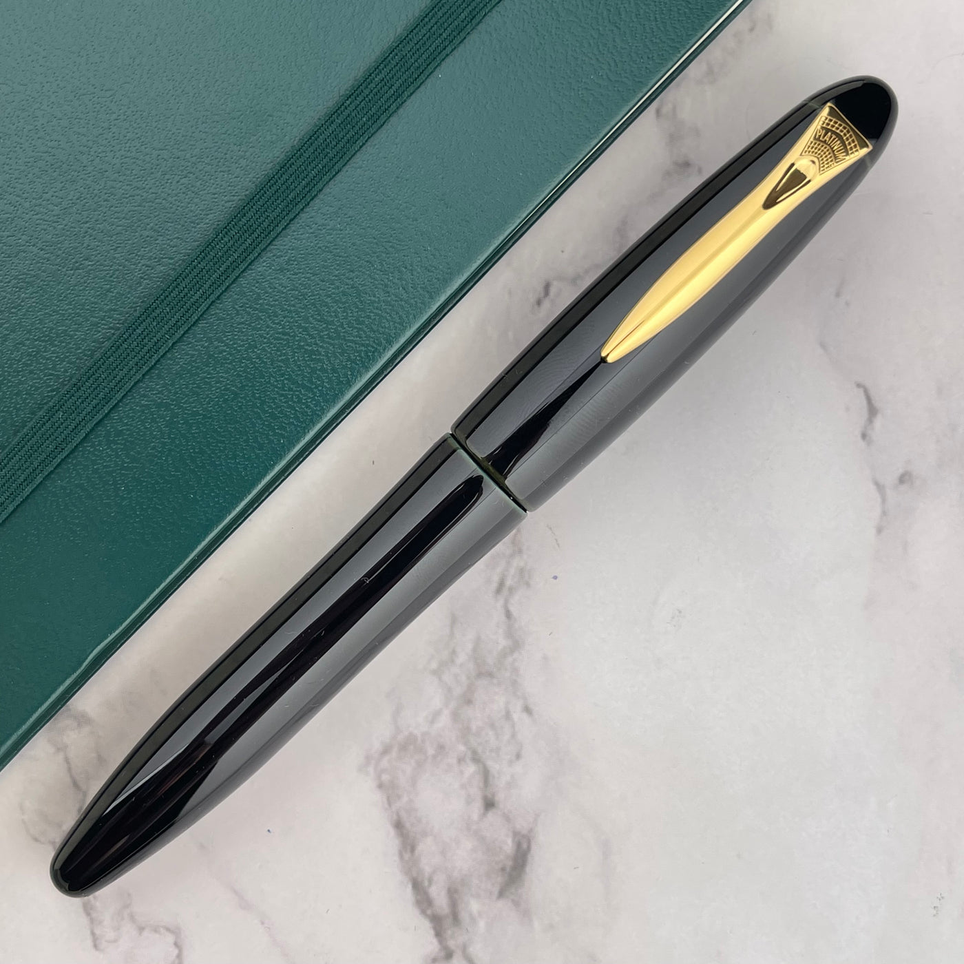 Platinum Izumo Fountain Pen - Soratame (Green)