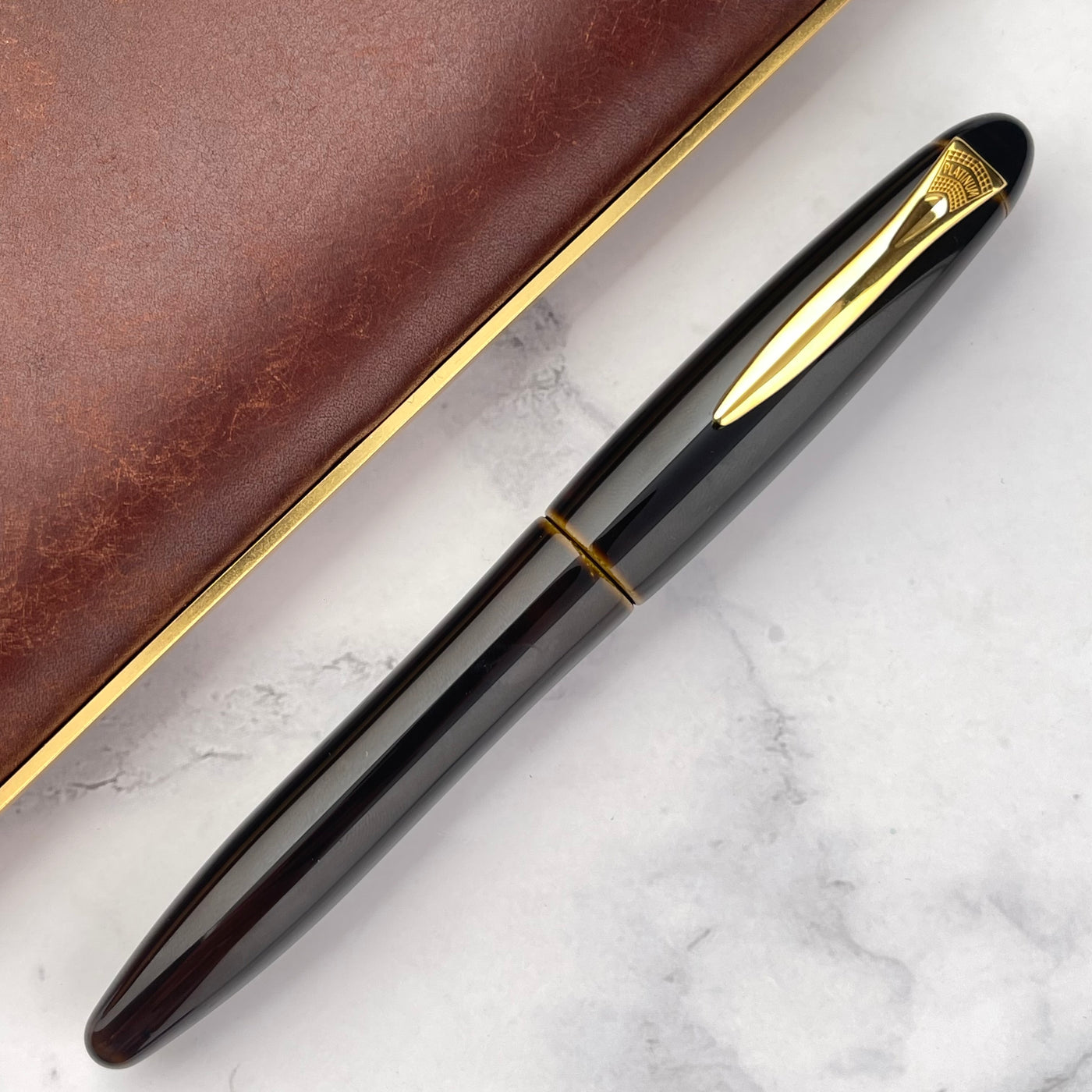 Platinum Izumo Fountain Pen - Biwatame (Tan)