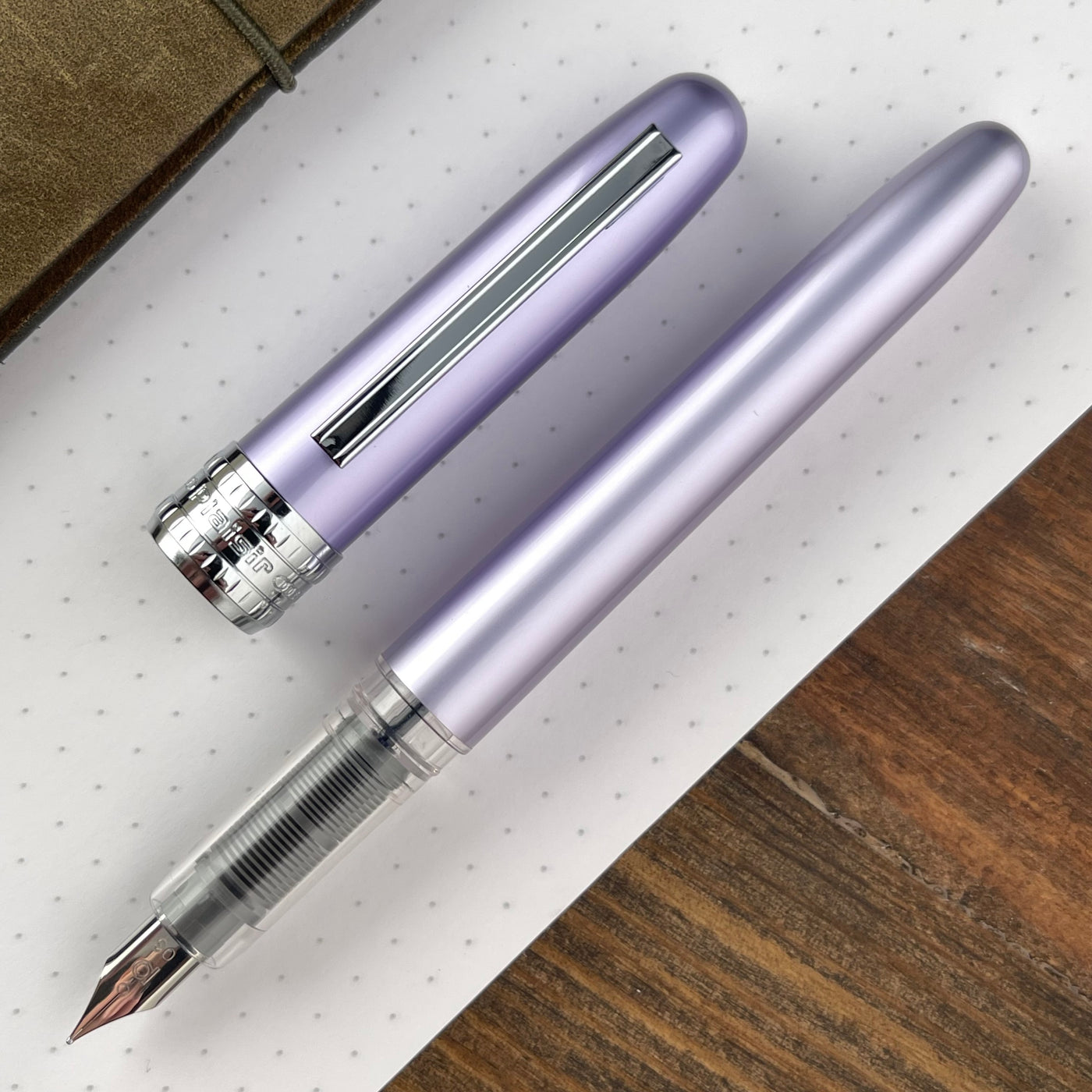 Platinum Plaisir Fountain Pen - Violet