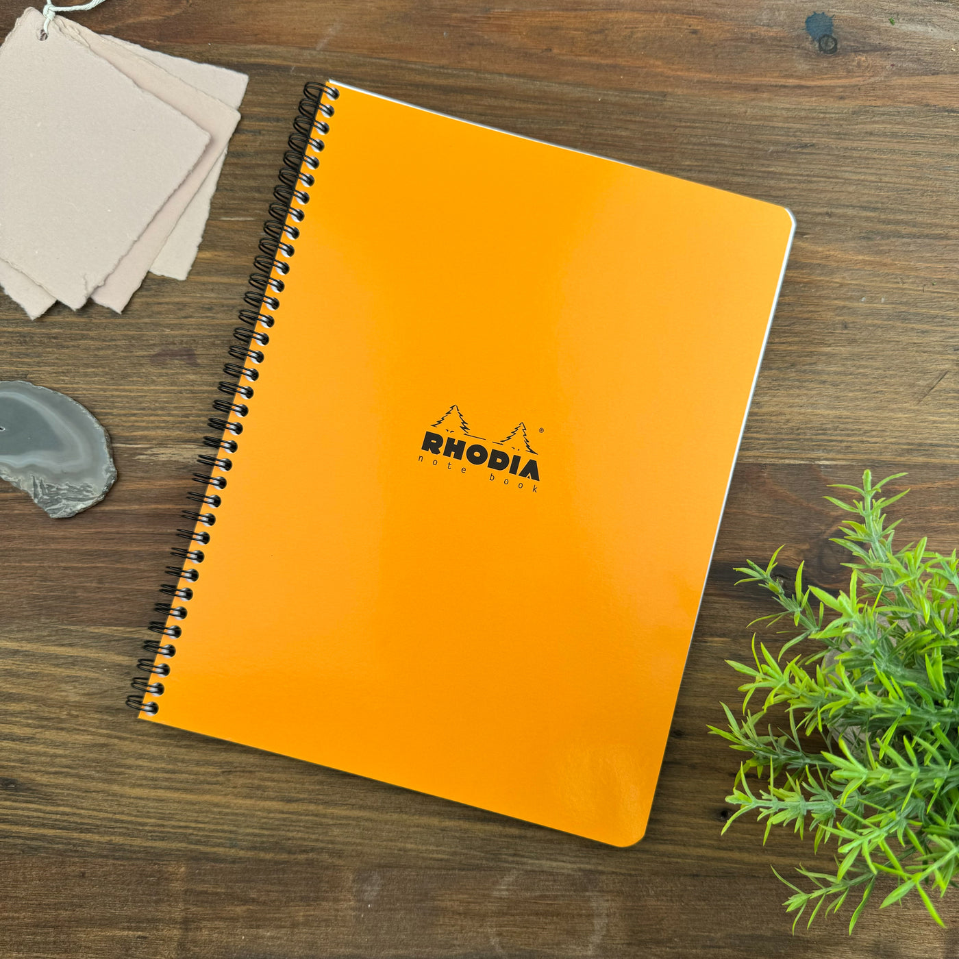 Rhodia Wirebound Notebook - Graph 80 sheets - 9 x 11 3/4 - Orange cover