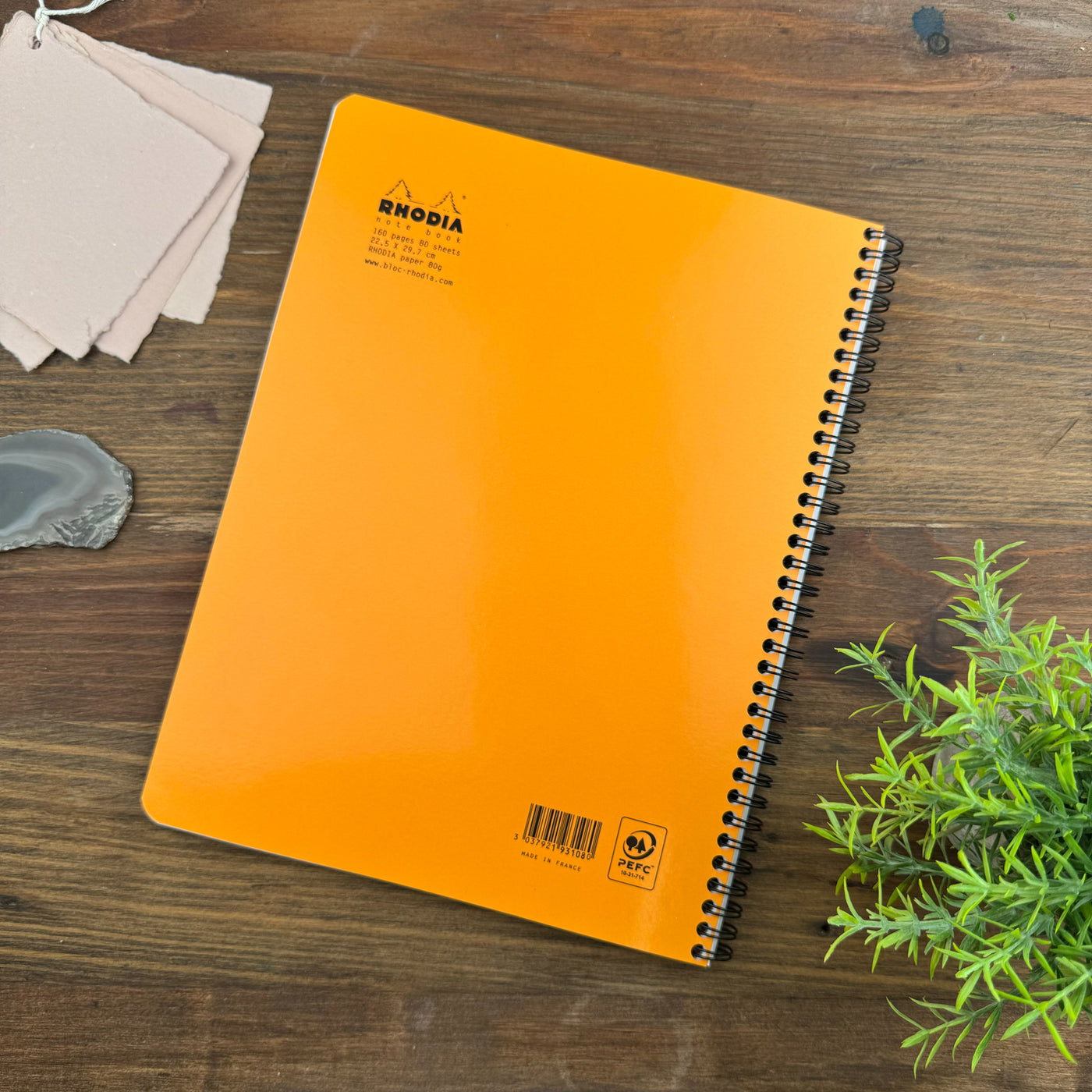 Rhodia Wirebound Notebook - Lined w/ margin 80 sheets - 9 x 11 3/4 - Orange cover