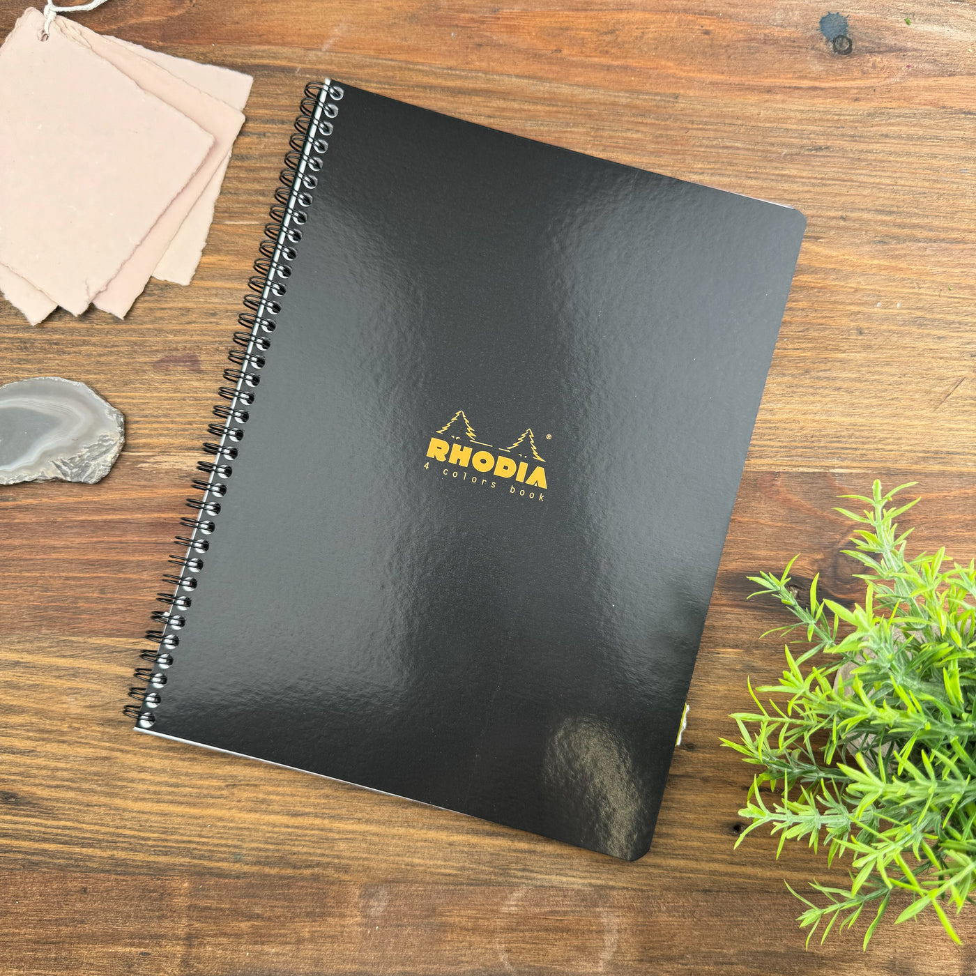 Rhodia Wirebound 4 Colors Notebook - Ruled sheets - 9 x 11 3/4