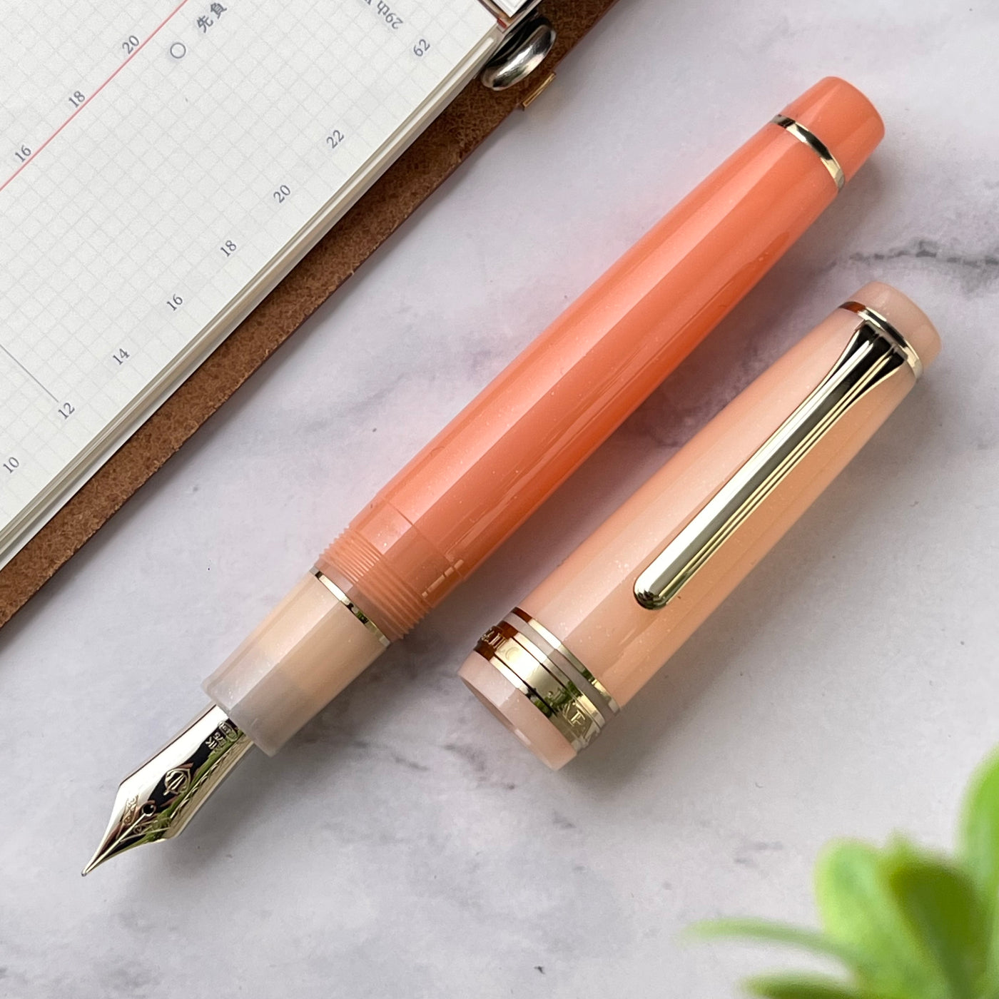 Sailor Pro Gear Fountain Pen - Cantaloupe (Special Edition)