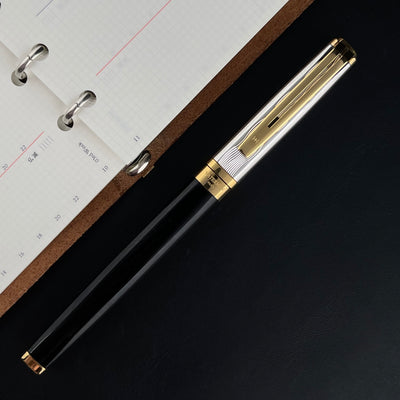 Waterman Exception Fountain Pen - Reflections of Paris (Special Edition)