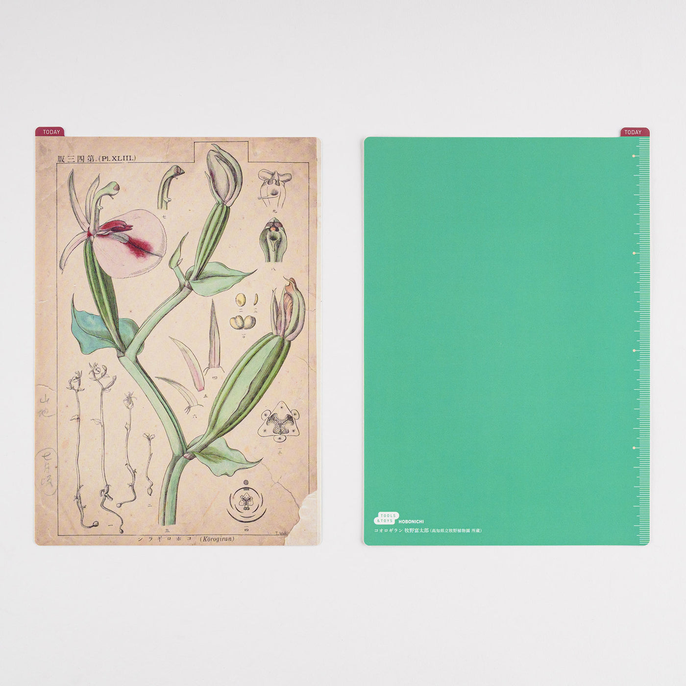 Hobonichi Pencil Board for Techo A5 Size - Tomitaro Makino