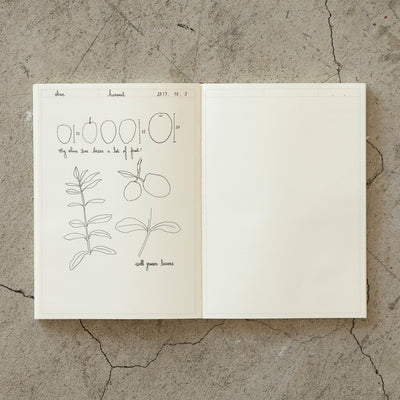 Midori MD Notebook Journal - Frame - A5 | Atlas Stationers.