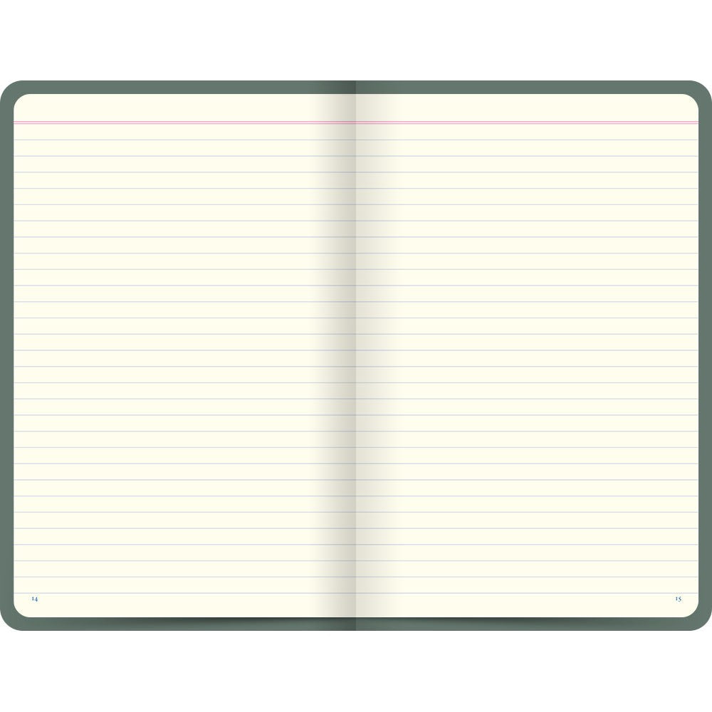 Letts Icon Hardcover Notebook - 5 1/8" x 7 7/8" - Ruled - Green | Atlas Stationers.