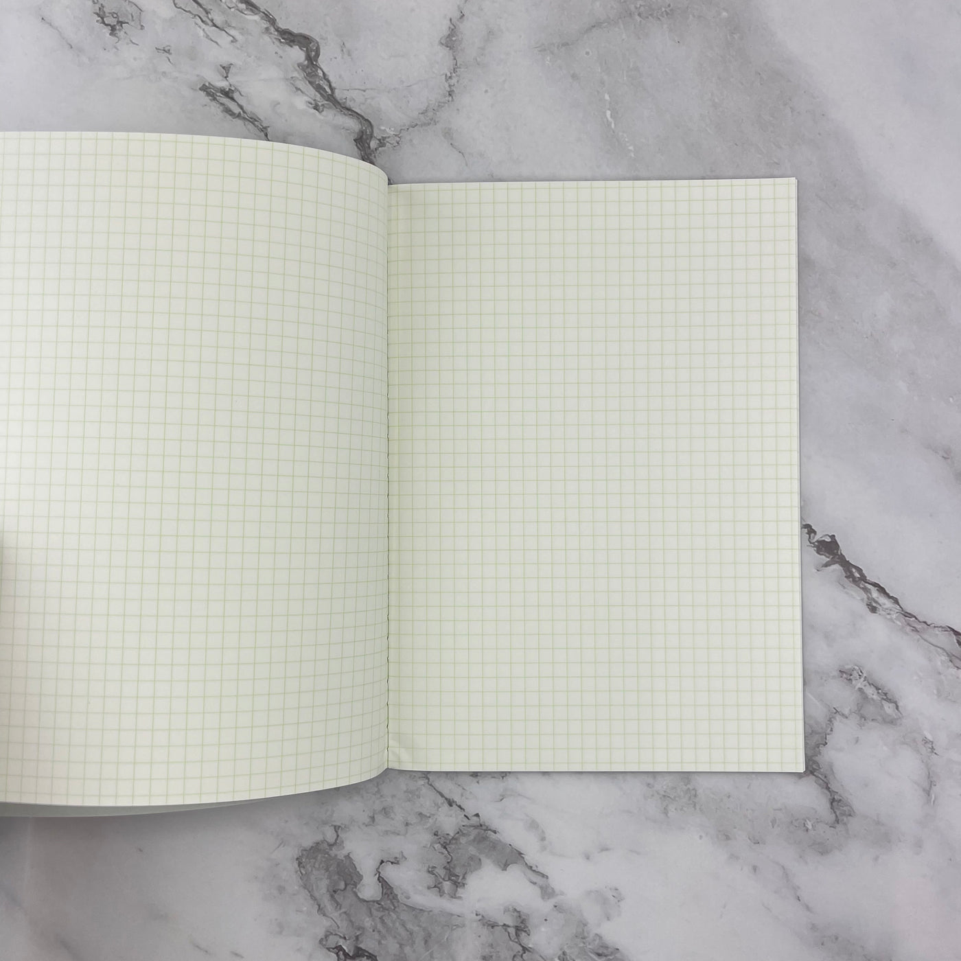 Life Pistachio Notebook - A5 - Grid