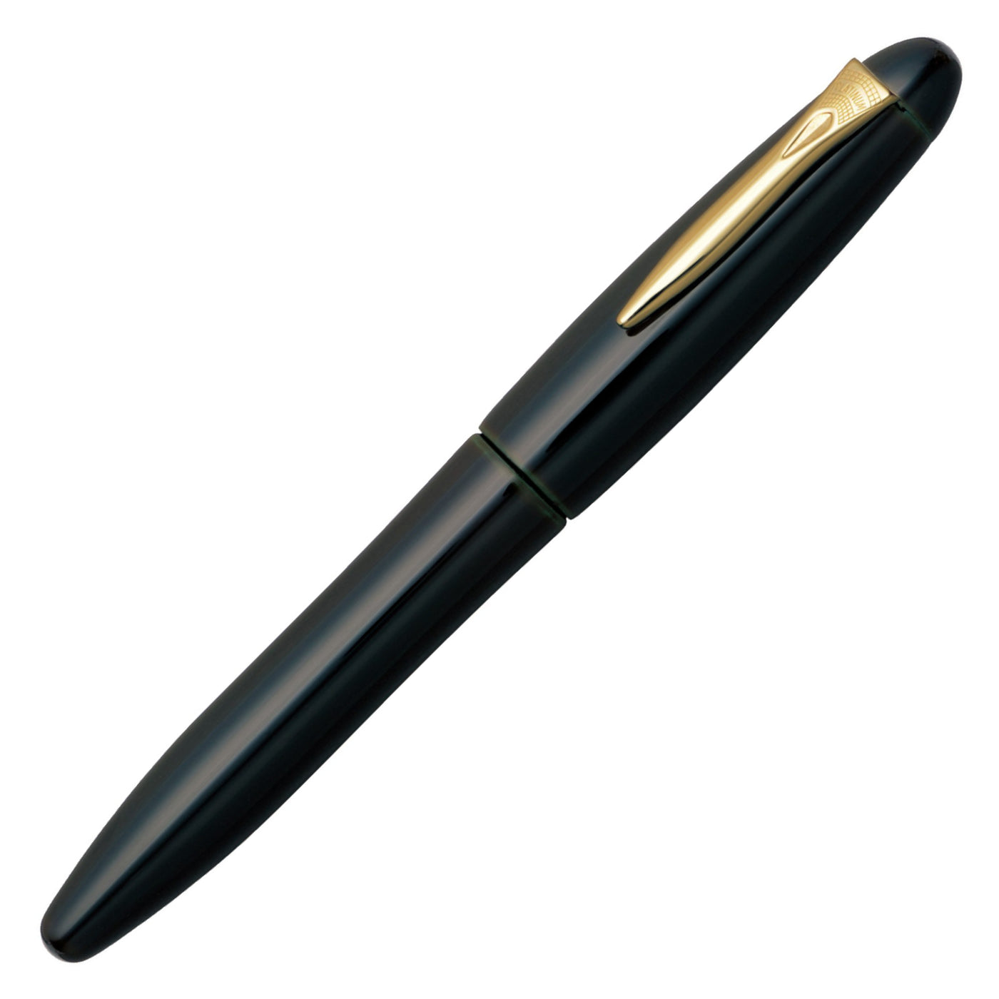 Platinum Izumo Fountain Pen - Soratame (Green) | Atlas Stationers.