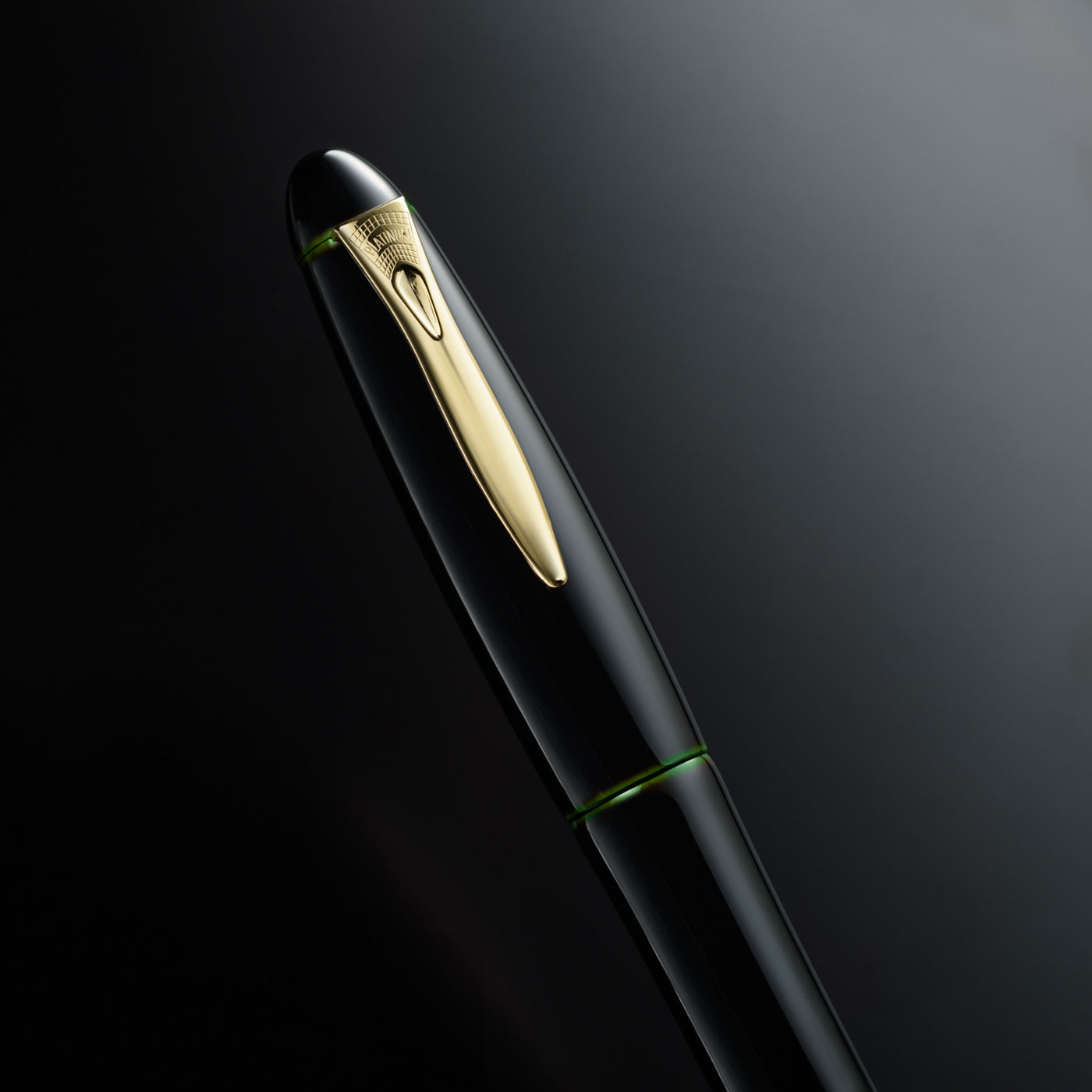 Platinum Izumo Fountain Pen - Soratame (Green) | Atlas Stationers.